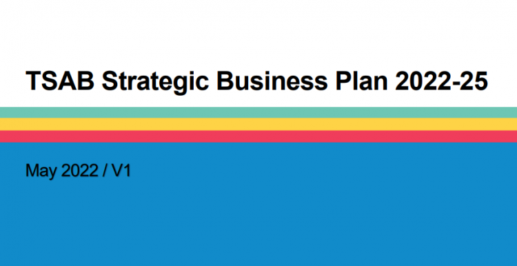 Teeswide Safeguarding Adults Board Strategic Business Plan 2022 2025 Healthwatch 6856